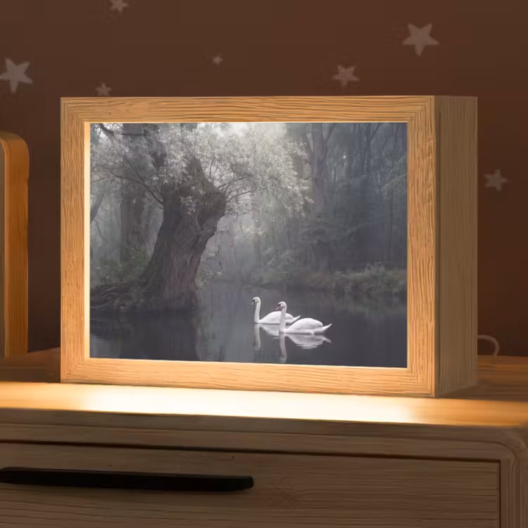 Zwanen - Rivier - Bos Light Box met kabel (Kinderlampje) klein -zzz_3d_website