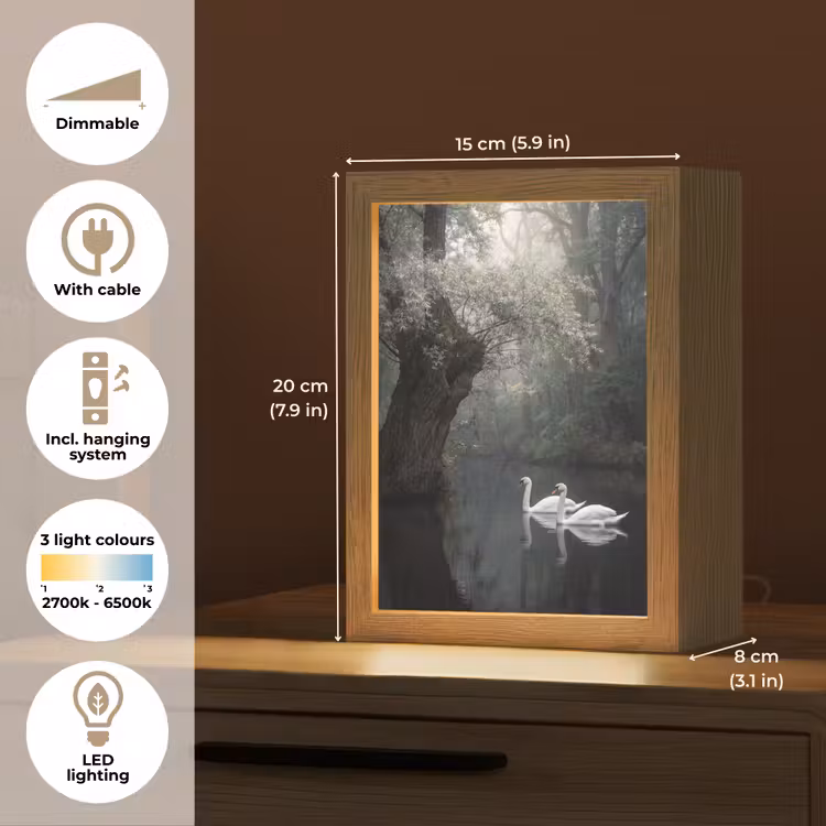 Zwanen - Rivier - Bos Light Box met kabel (Kinderlampje) klein -USP_EN