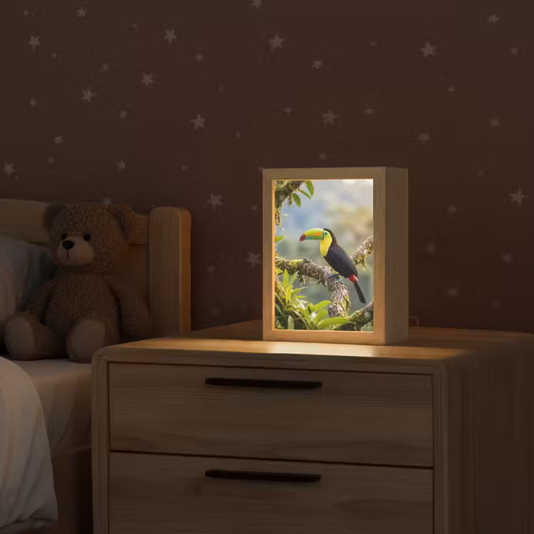 Toekan - Jungle - Natuur - Kleurrijk Light Box met kabel (Kinderlampje) klein -sfeer1_kind