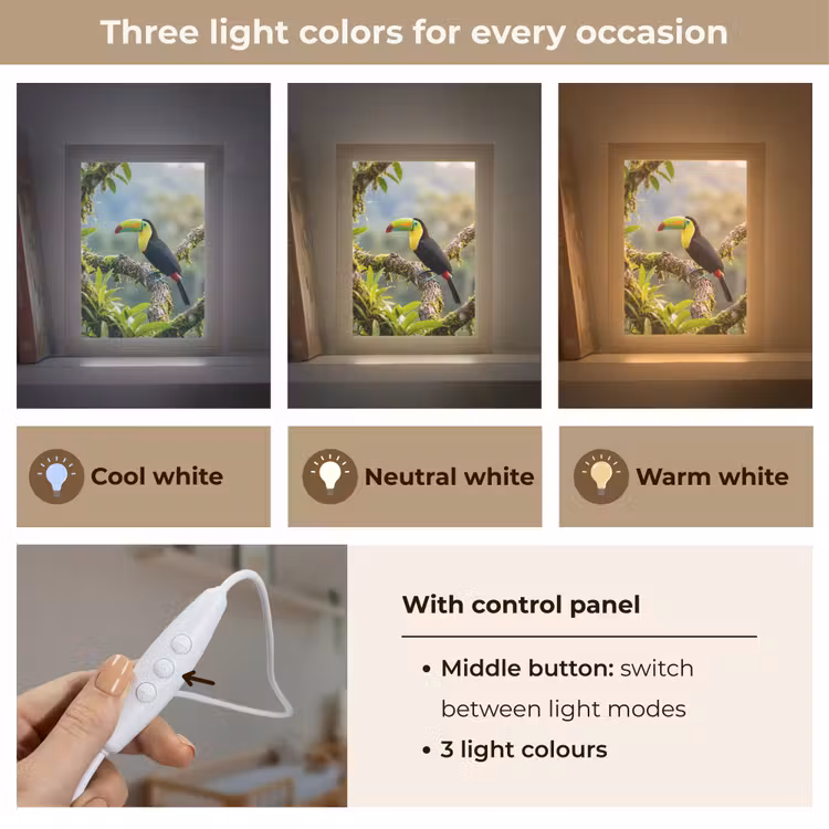 Toekan - Jungle - Natuur - Kleurrijk Light Box met kabel (Kinderlampje) klein -USP_lichtkleurEN