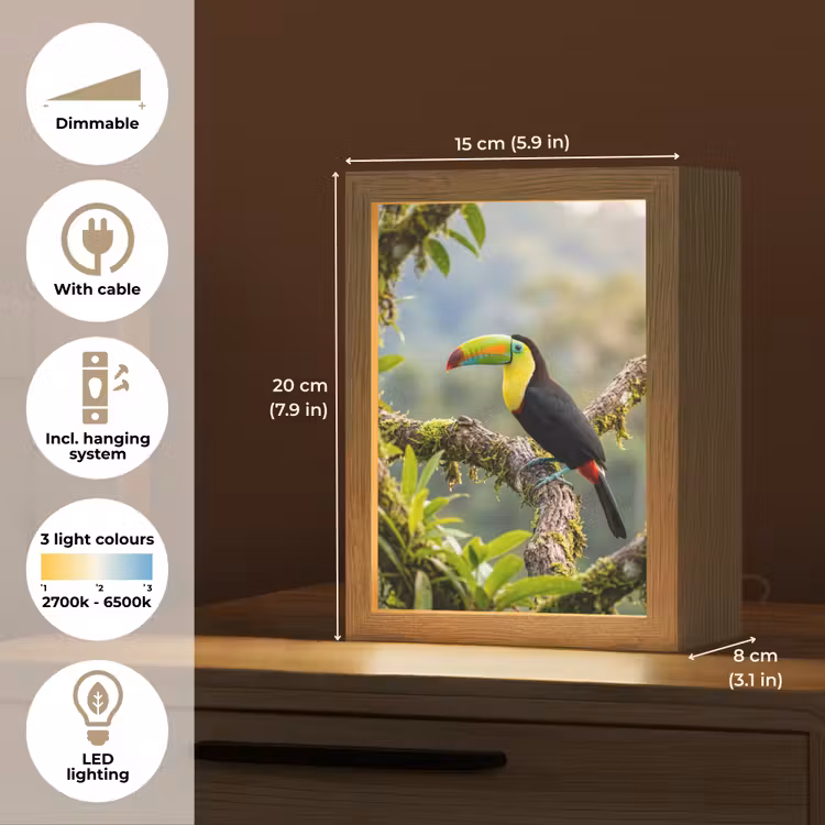 Toekan - Jungle - Natuur - Kleurrijk Light Box met kabel (Kinderlampje) klein -USP_EN