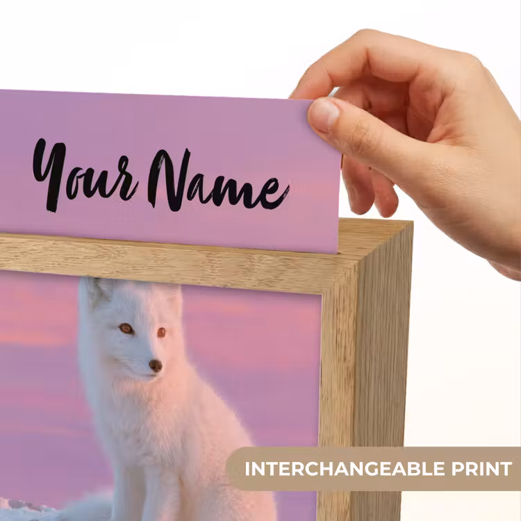 Poolvos - Sneeuw - Roze Light Box met kabel (Kinderlampje) klein -USP_websiteprintEN