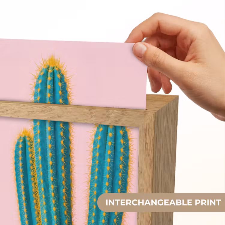 Cactussen - Modern - Pastel Light Box met kabel (Kinderlampje) klein -USP_websiteprintEN