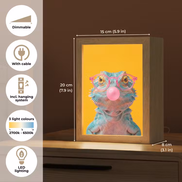 Kameleon - Kauwgom - Kleurrijk Light Box met kabel (Kinderlampje) klein -USP_EN