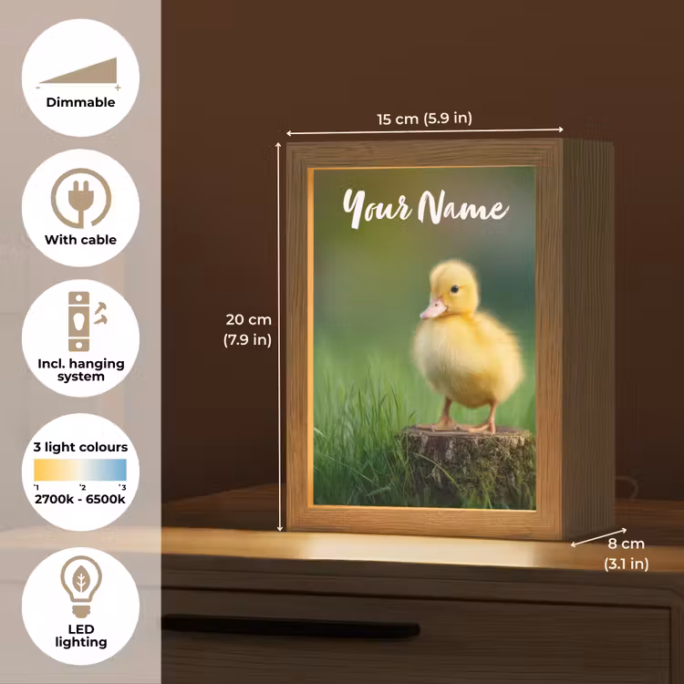 Kuiken - Eend - Geel - Gras Light Box met kabel (Kinderlampje) klein -USP_EN