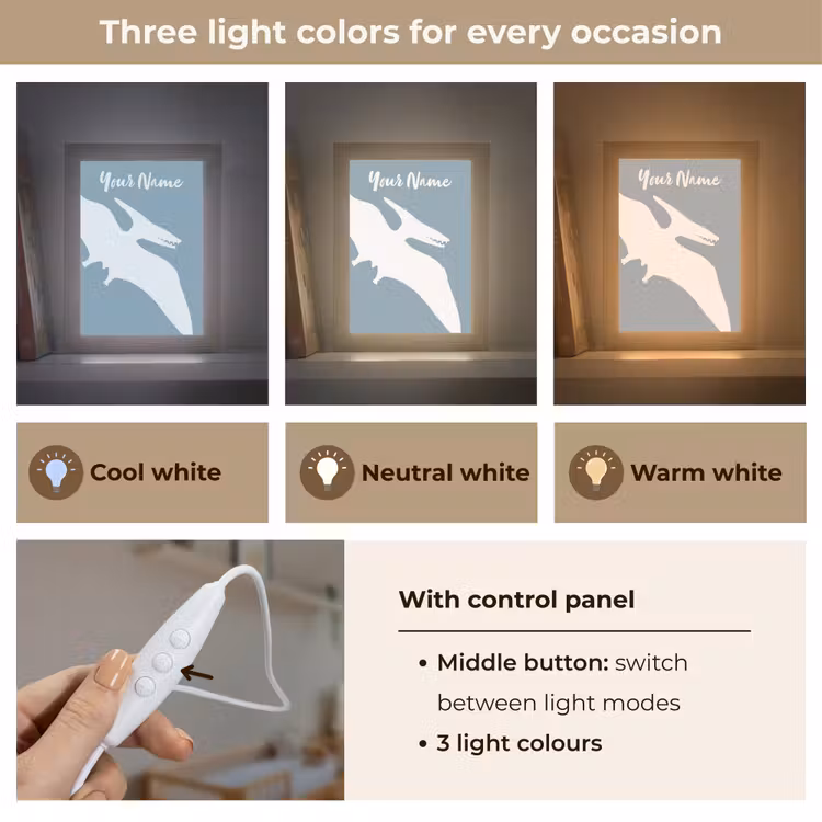 Dino - Pteranodon - Dinosaurus - Blauw Light Box met kabel (Kinderlampje) klein -USP_lichtkleurEN