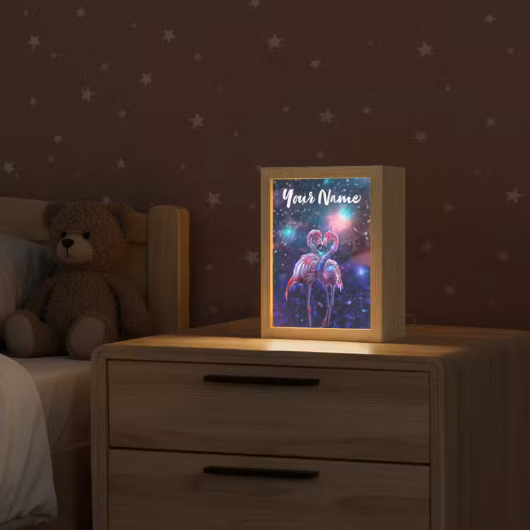 Flamingo's - Dieren - Ruimte - Galaxy Light Box met kabel (Kinderlampje) klein -sfeer1_kind