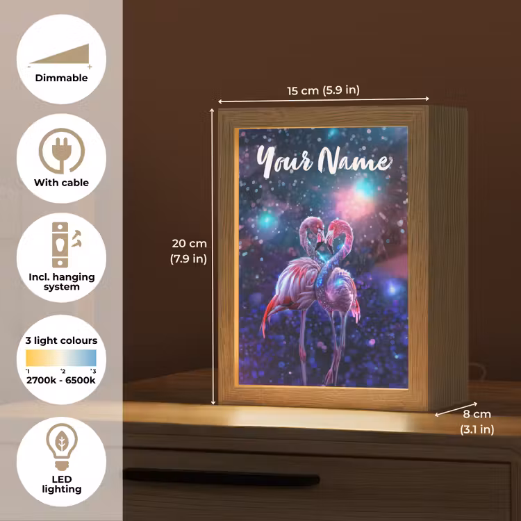 Flamingo's - Dieren - Ruimte - Galaxy Light Box met kabel (Kinderlampje) klein -USP_EN