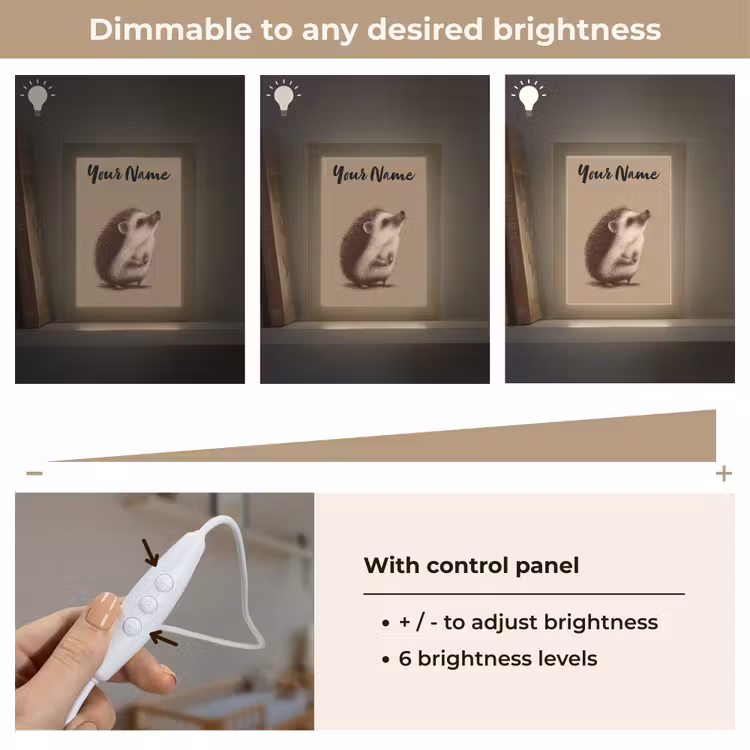 Egel - Snuitje - Bruin - Stekels Light Box met kabel (Kinderlampje) klein -USP_dimbaarEN