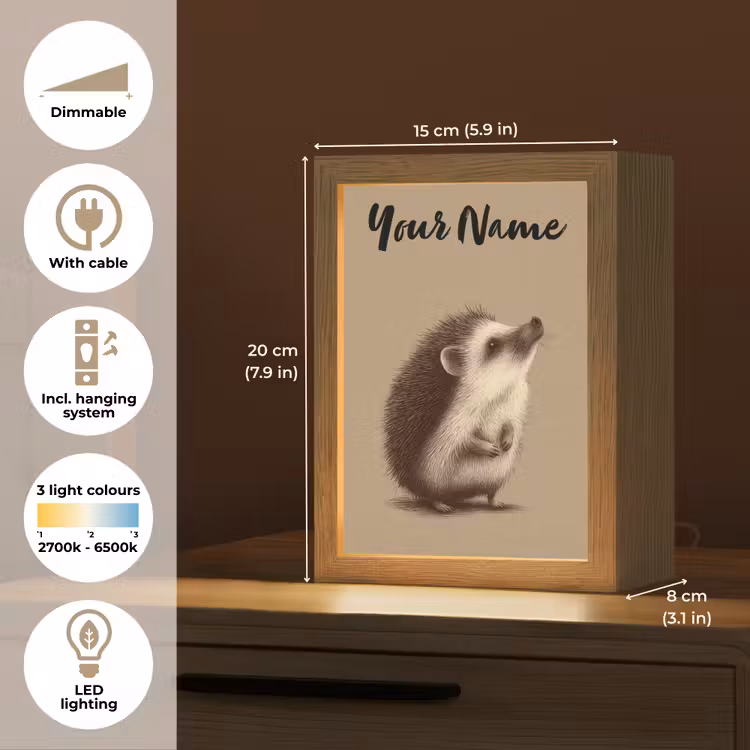 Egel - Snuitje - Bruin - Stekels Light Box met kabel (Kinderlampje) klein -USP_EN