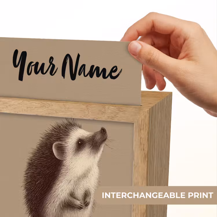 Egel - Snuitje - Bruin - Stekels Light Box met kabel (Kinderlampje) klein -USP_websiteprintEN