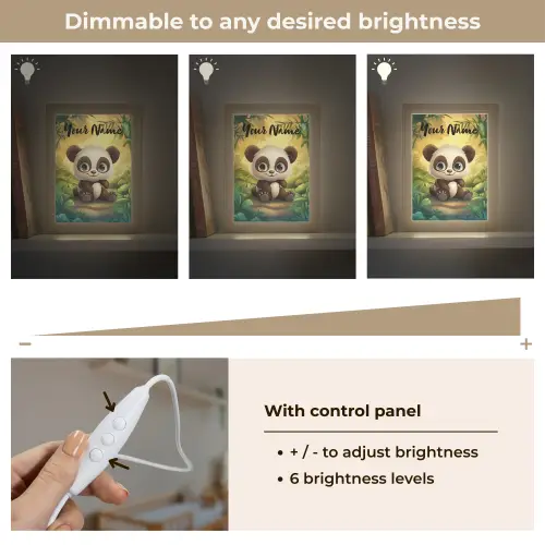Panda - Bamboebos - Groen Light Box met kabel (Kinderlampje) klein -USP_dimbaarEN