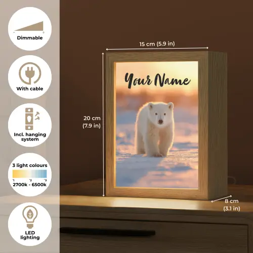 Ijsbeer - Sneeuw - Zonsopgang Light Box met kabel (Kinderlampje) klein -USP_EN