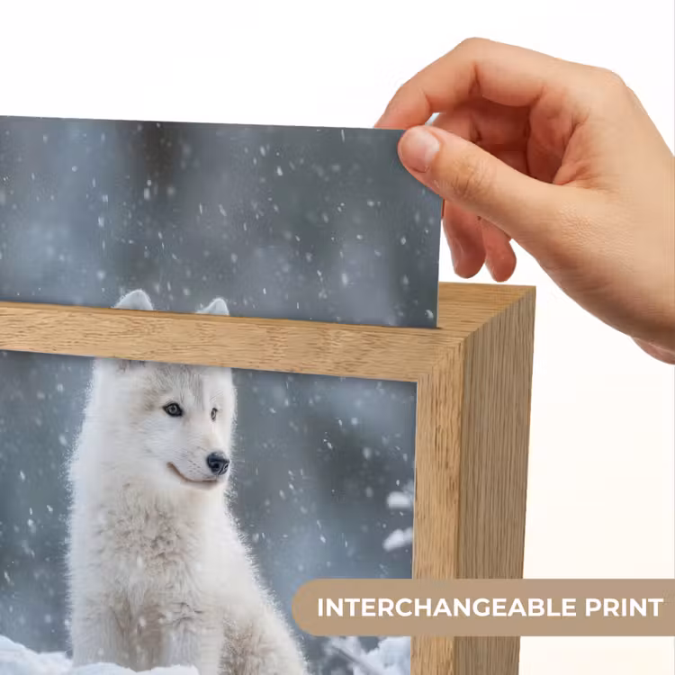 Wolf - Pup - Sneeuw Light Box met kabel (Kinderlampje) klein -USP_websiteprintEN