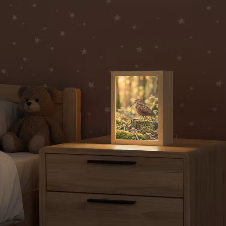 Houtsnip - Bos - Bladeren - Herfst - Gecamoufleerd Light Box met kabel (Kinderlampje) klein -sfeer1_kind