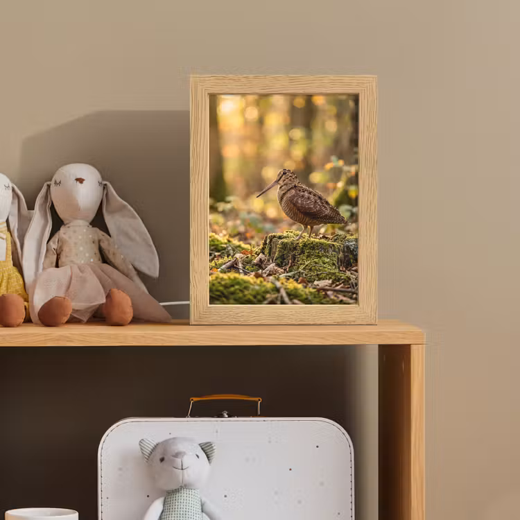 Houtsnip - Bos - Bladeren - Herfst - Gecamoufleerd Light Box met kabel (Kinderlampje) klein -sfeer2_kind