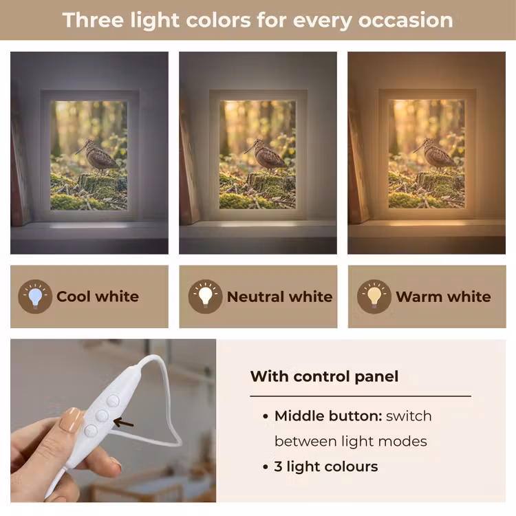 Houtsnip - Bos - Bladeren - Herfst - Gecamoufleerd Light Box met kabel (Kinderlampje) klein -USP_lichtkleurEN