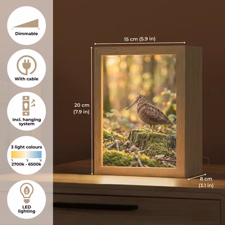 Houtsnip - Bos - Bladeren - Herfst - Gecamoufleerd Light Box met kabel (Kinderlampje) klein -USP_EN