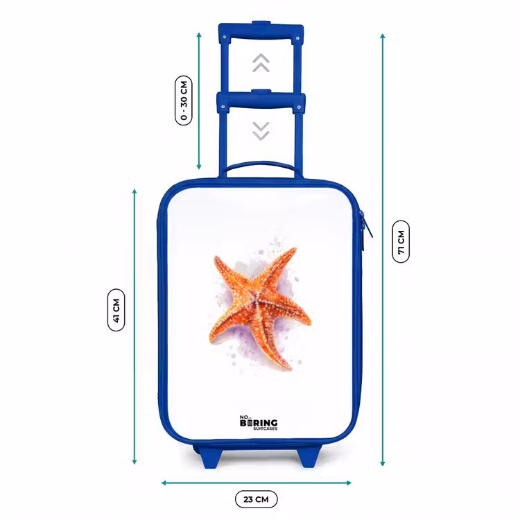 Oranje Zeester Illustratie Kinderkoffer - Blauw klein -productfoto_formaten