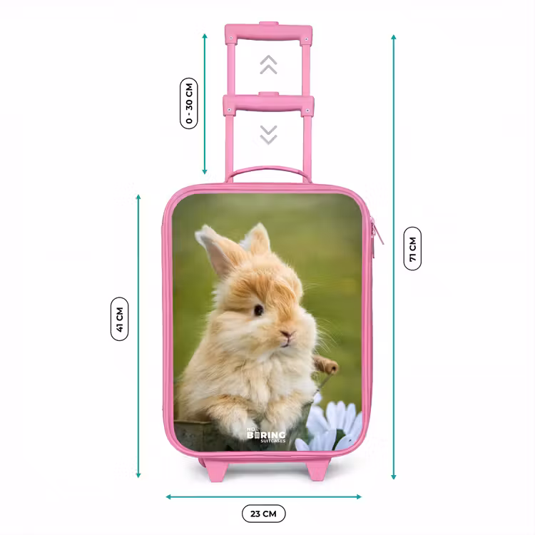 Konijn in bloempot Kinderkoffer - Roze klein -productfoto_formaten