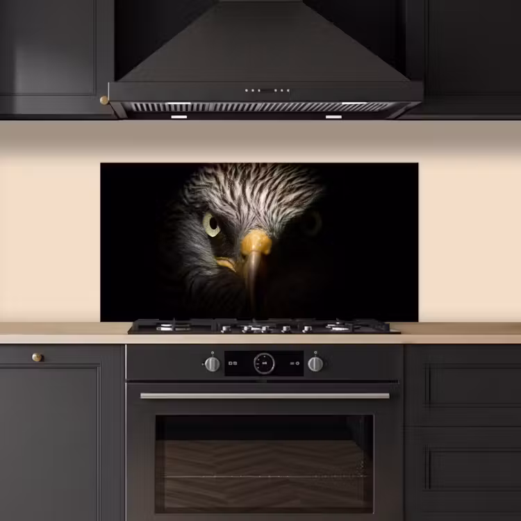 Vogel - Adelaar - Roofvogels - Oog - Snavel - Licht keuken achterwand spatscherm middel -sfeer1