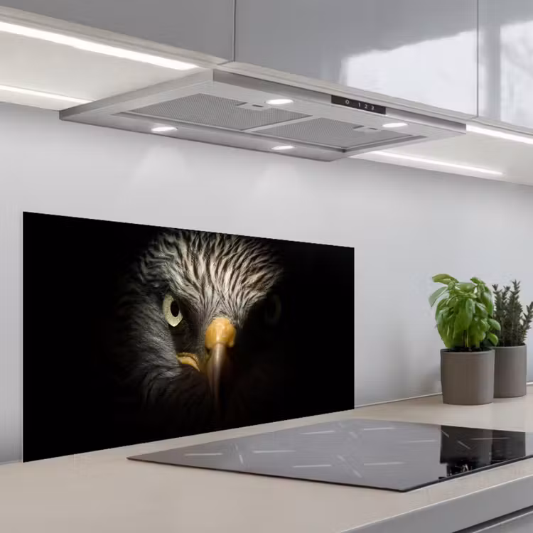 Vogel - Adelaar - Roofvogels - Oog - Snavel - Licht keuken achterwand spatscherm middel -3d_schuin