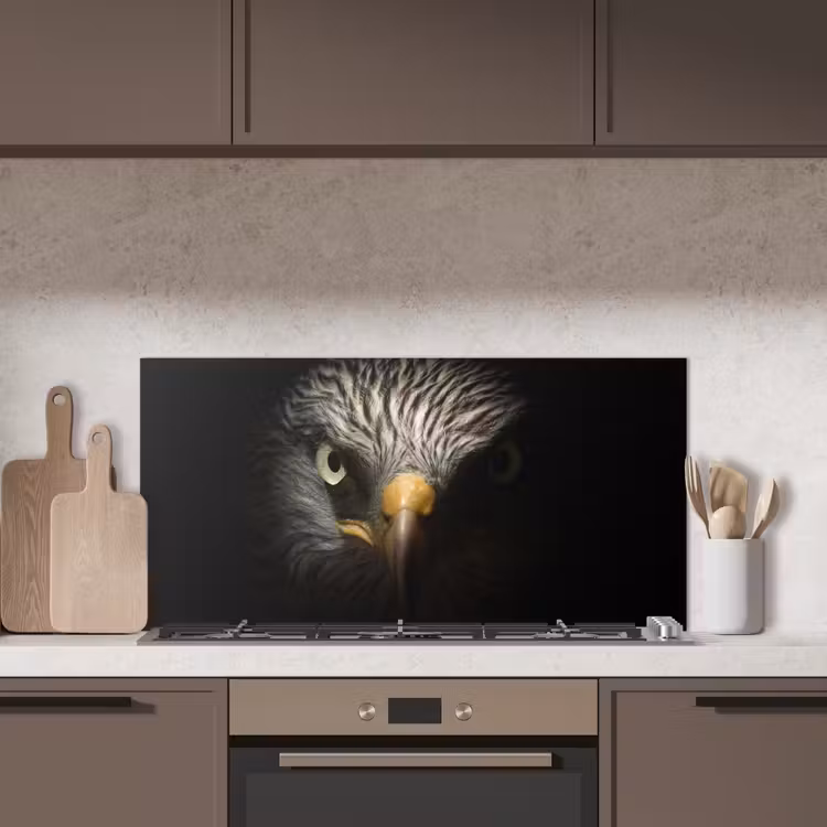 Vogel - Adelaar - Roofvogels - Oog - Snavel - Licht keuken achterwand spatscherm middel -sfeer2