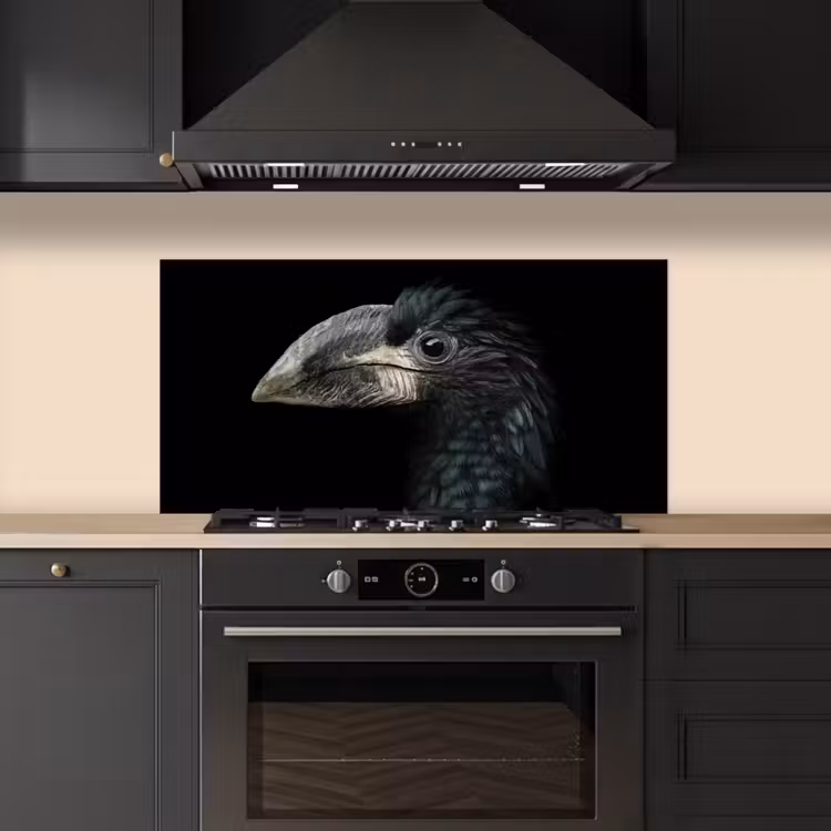 Vogel - Portret - Neushoornvogel - Zwart - Dieren keuken achterwand spatscherm middel -sfeer1