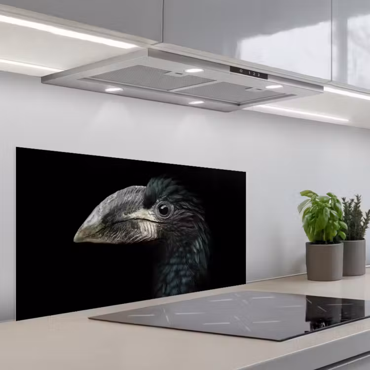 Vogel - Portret - Neushoornvogel - Zwart - Dieren keuken achterwand spatscherm middel -3d_schuin