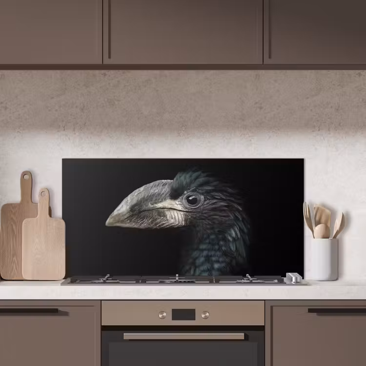 Vogel - Portret - Neushoornvogel - Zwart - Dieren keuken achterwand spatscherm middel -sfeer2