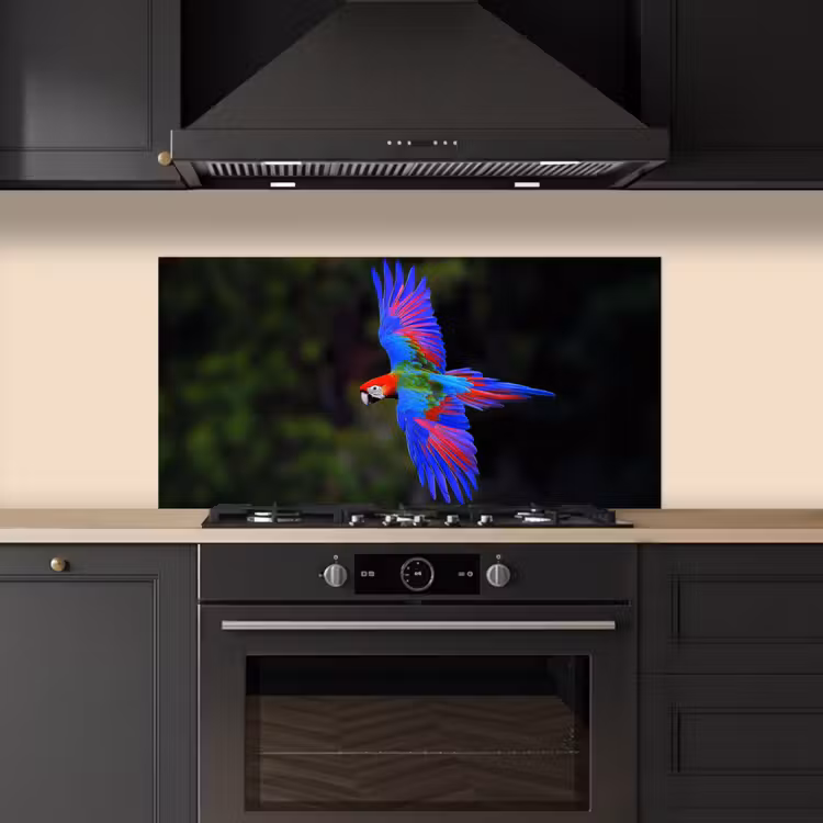 Felgekleurd - Papegaai - Bos - Vleugels keuken achterwand spatscherm middel -sfeer1
