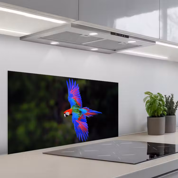Felgekleurd - Papegaai - Bos - Vleugels keuken achterwand spatscherm middel -3d_schuin