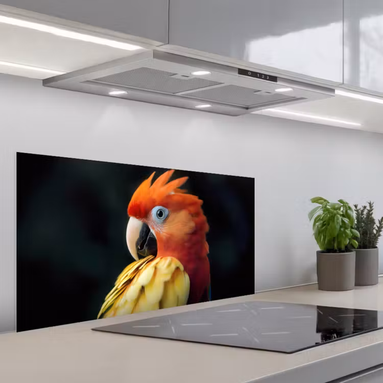 Close-up - Papegaai - Veren - Oranje keuken achterwand spatscherm middel -3d_schuin
