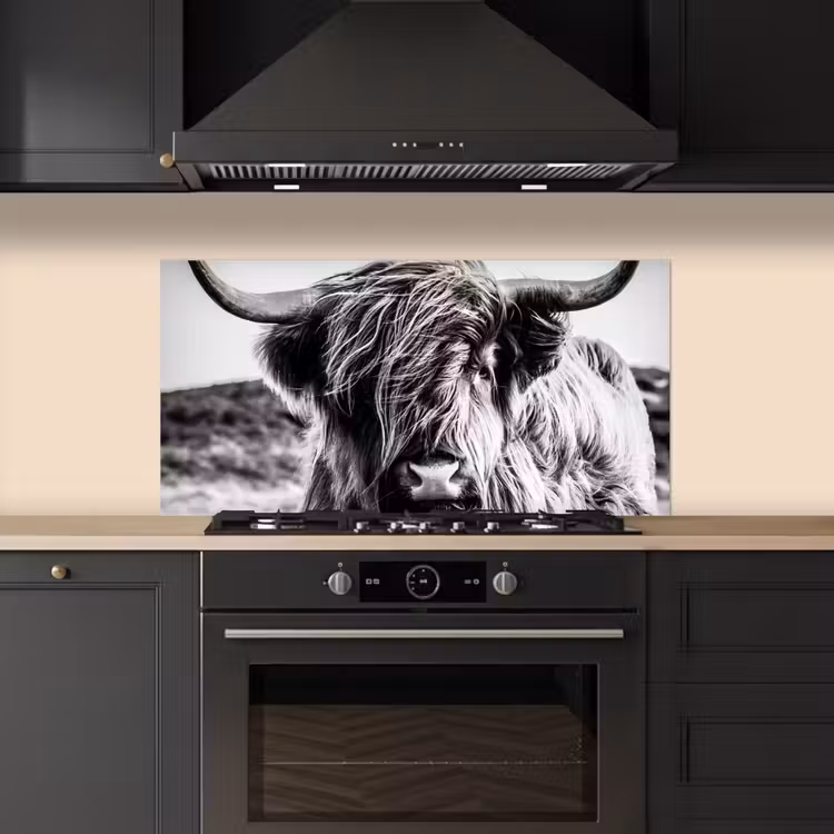 Koe - Schotse hooglander - Zwart - Wit - Dier - Natuur - Wild keuken achterwand spatscherm middel -sfeer1