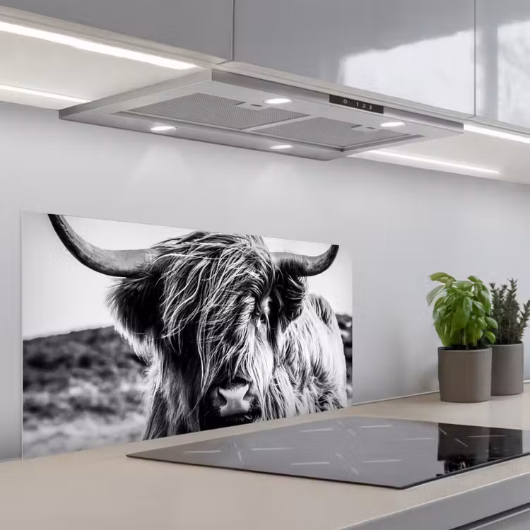 Koe - Schotse hooglander - Zwart - Wit - Dier - Natuur - Wild keuken achterwand spatscherm middel -3d_schuin