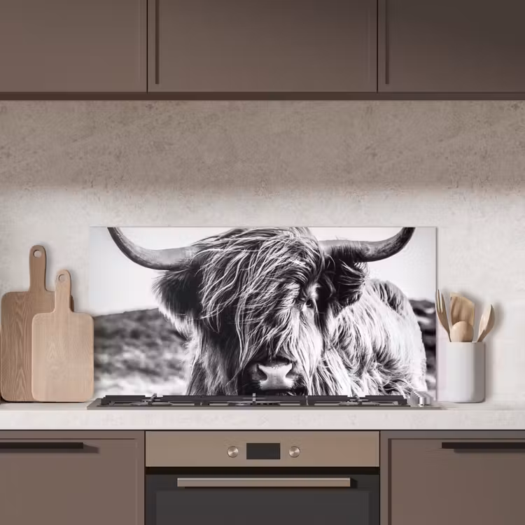 Koe - Schotse hooglander - Zwart - Wit - Dier - Natuur - Wild keuken achterwand spatscherm middel -sfeer2