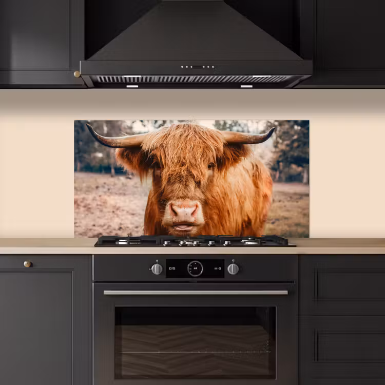 Koe- Schotse hooglander - Hoorns - Bruin - Landschap keuken achterwand spatscherm middel -sfeer1