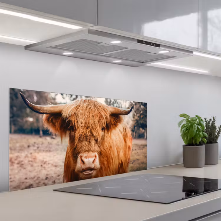 Koe- Schotse hooglander - Hoorns - Bruin - Landschap keuken achterwand spatscherm middel -3d_schuin