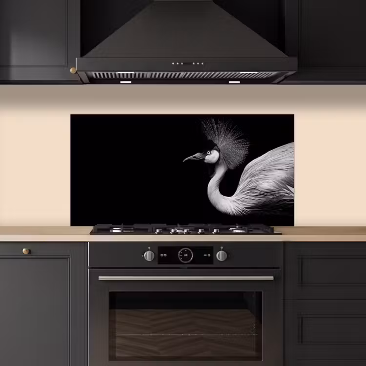 Kraanvogel - Zwart - Wit - Vogel - Dieren keuken achterwand spatscherm middel -sfeer1