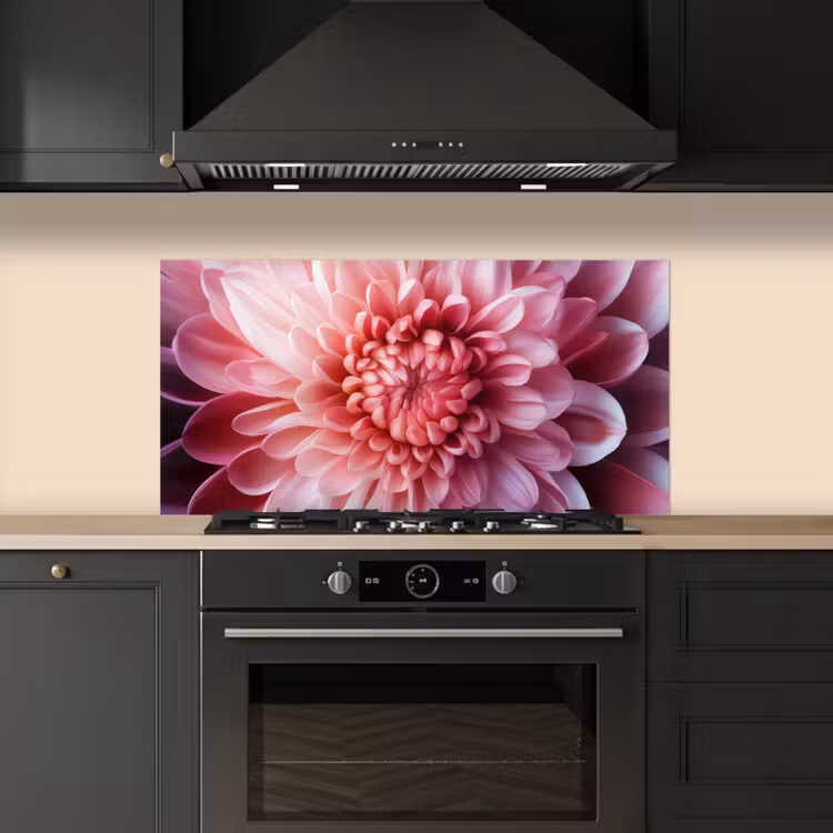 Dahlia - Bloem - Close up - Roze keuken achterwand spatscherm middel -sfeer1