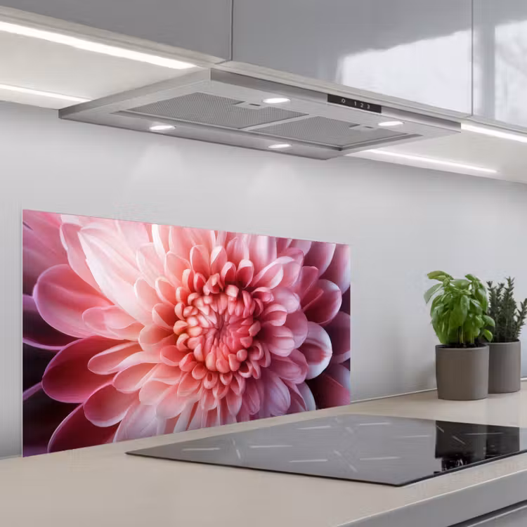 Dahlia - Bloem - Close up - Roze keuken achterwand spatscherm middel -3d_schuin