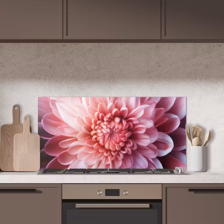 Dahlia - Bloem - Close up - Roze keuken achterwand spatscherm middel -sfeer2