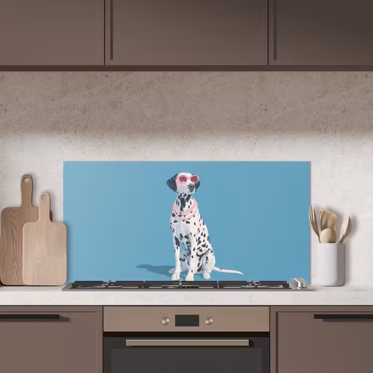 Dalmatiër - Zonnebril - Blauw keuken achterwand spatscherm middel -sfeer2