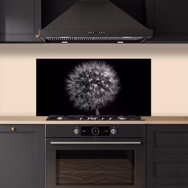 Paardenbloem - Zwart - Bloemen - Botanisch keuken achterwand spatscherm middel -sfeer1
