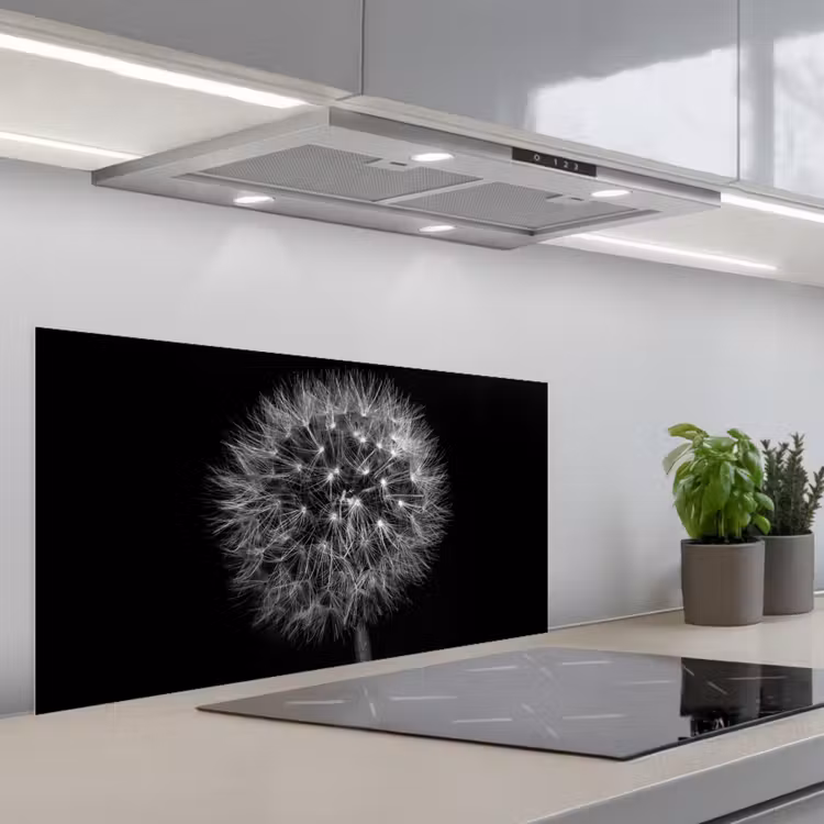 Paardenbloem - Zwart - Bloemen - Botanisch keuken achterwand spatscherm middel -3d_schuin