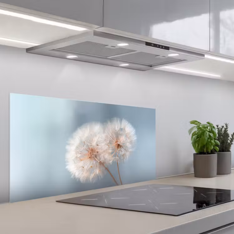 Paardenbloemen - Pluisjes - Wit keuken achterwand spatscherm middel -3d_schuin