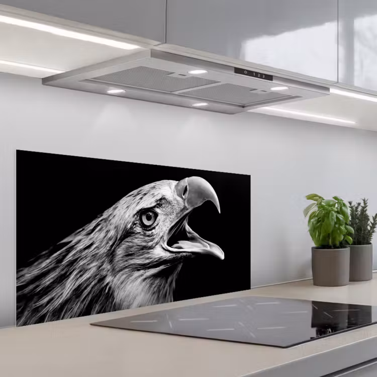 Adelaar - Portret - Roofvogels - Zwart - Wit - Vogel keuken achterwand spatscherm middel -3d_schuin