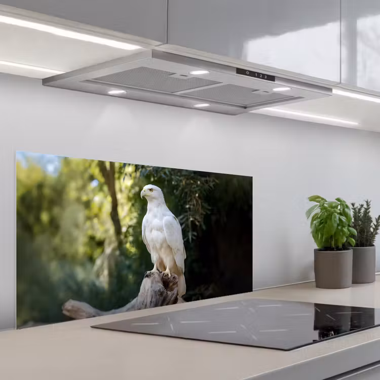 Arend - Hout - Wit - Planten keuken achterwand spatscherm middel -3d_schuin