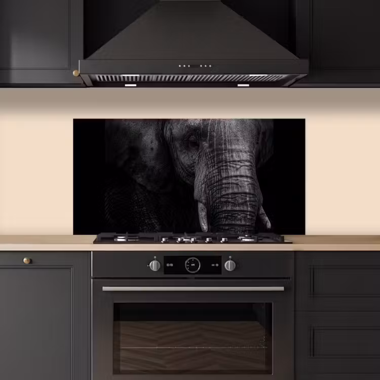 Olifant - Dier - Portret keuken achterwand spatscherm middel -sfeer1