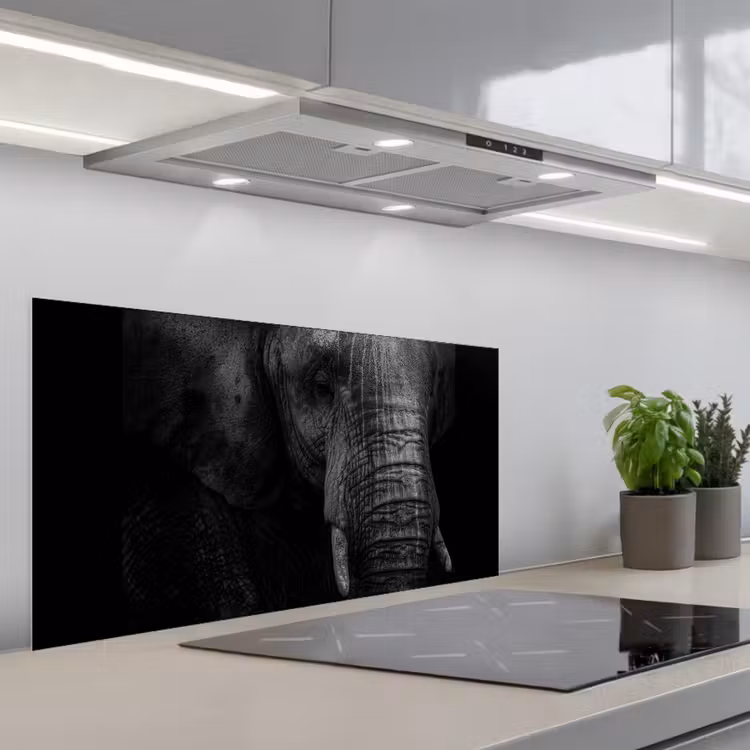 Olifant - Dier - Portret keuken achterwand spatscherm middel -3d_schuin